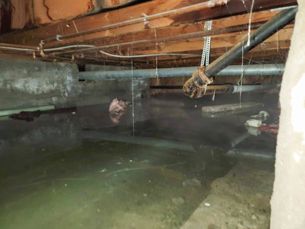 Best 24-hour water damage restoration  in Jefferson, TX