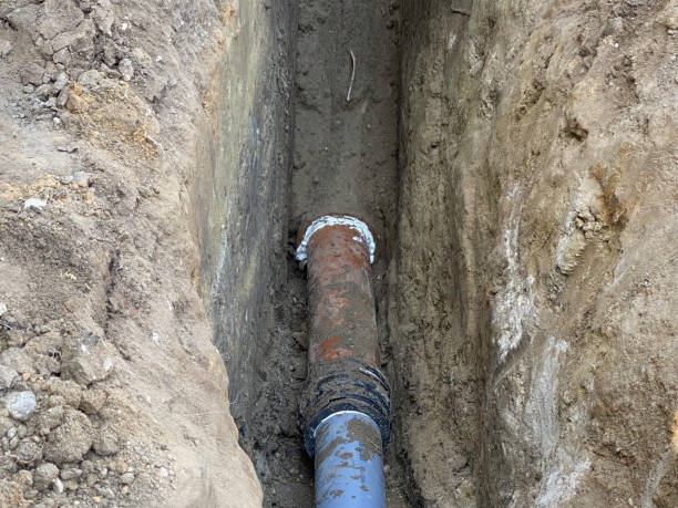 Best Flood damage cleanup  in Jefferson, TX