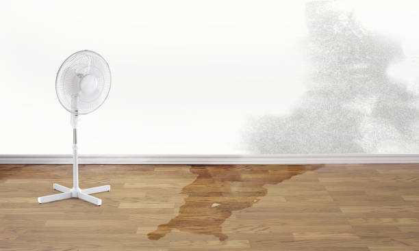 Best Water damage restoration insurance claims  in Jefferson, TX