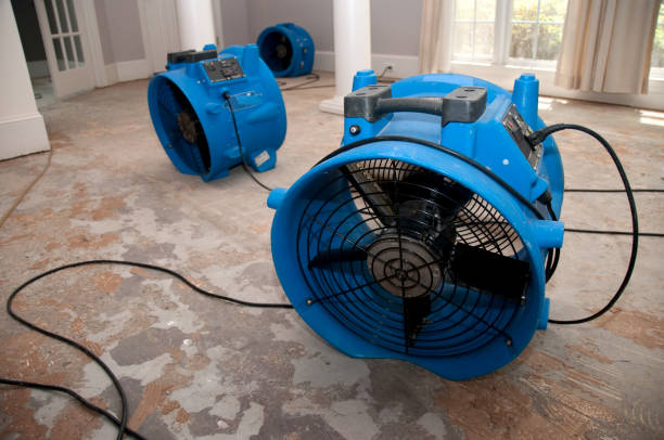 Best Commercial water damage restoration  in Jefferson, TX
