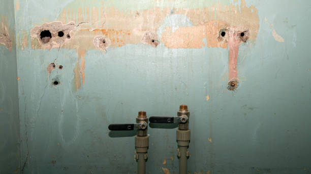 Best Basement water damage restoration  in Jefferson, TX