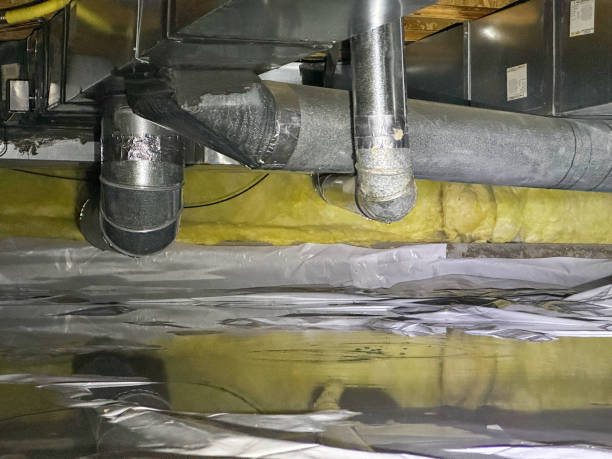 Best Water damage cleanup near me  in Jefferson, TX